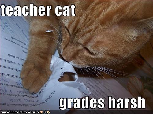 (Teacher Cat Grades Harsh.)