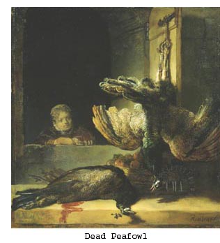 Dead Peafowl by Rembrandt