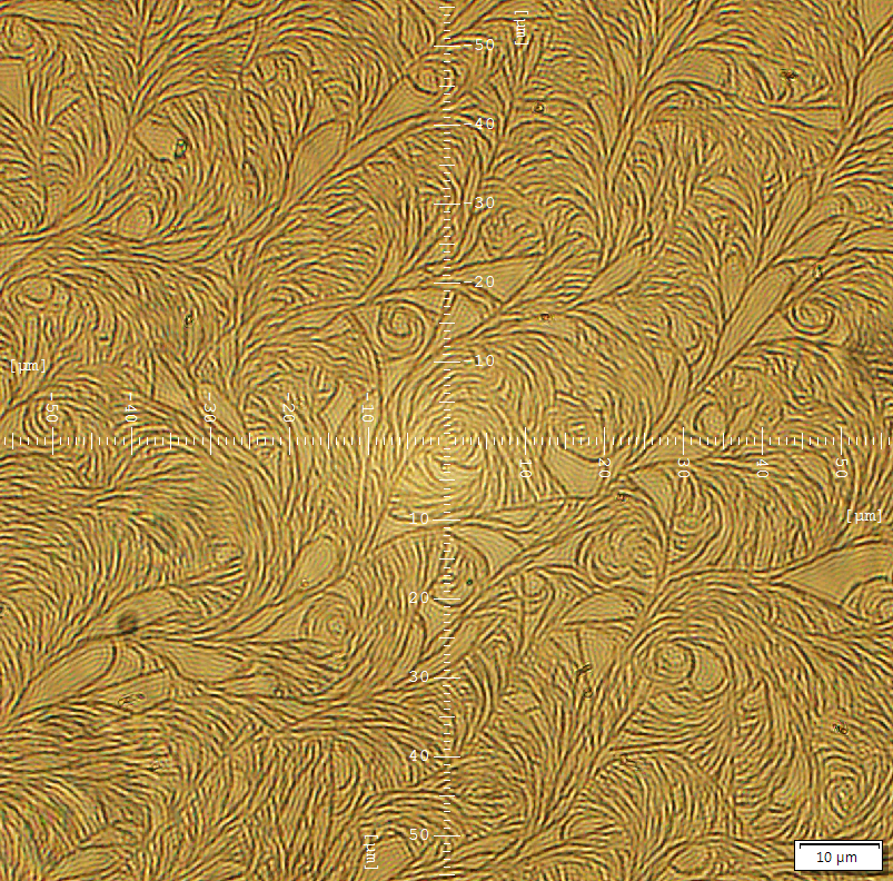 A yellow-ish brown image of a crystal that has a swirly pattern similar to the painting style of Van Gogh. Horizontal and vertical white scale bars faintly cross the image.