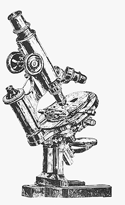 G. V. Black's Microscope, ca.1860