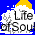 Life of Soul link