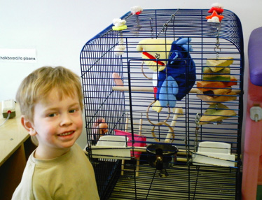Boy and pet bird