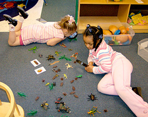 Children working with insect models