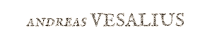 Vesalius Heading
