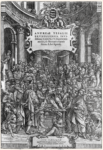 Vesalian Anatomy Theater