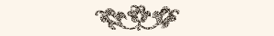 Footer Decoration