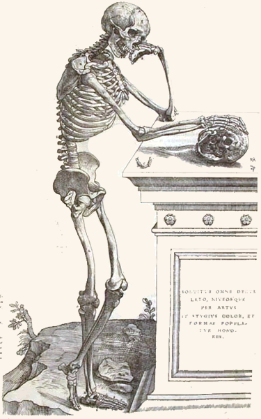 Vesalius