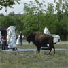 Texas Star Party 2001