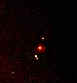 orion.jpg (11179 bytes)