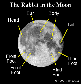 bunmoon.gif (24979 bytes)