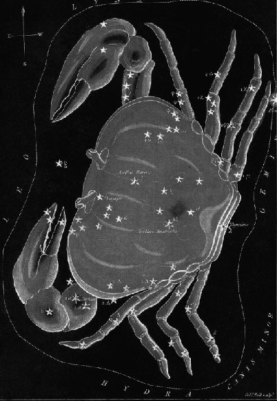 The Constellation of Cancer