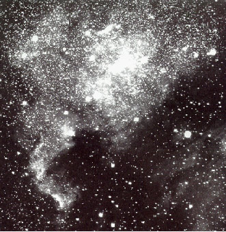 NGC 7000