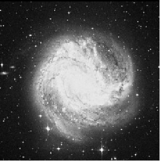 M83