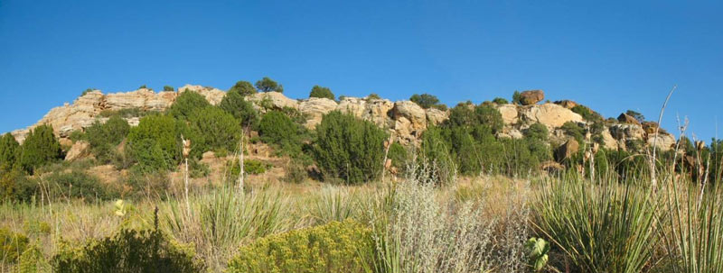Scenery around Camp Billy Joe