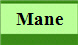 Mane