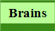 Brains