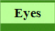 Eyes