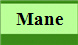 Mane