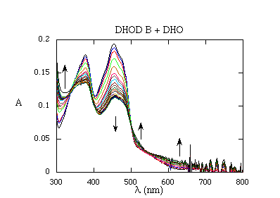 DHOD Data