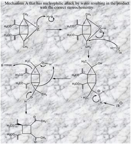 Leading Question Mech