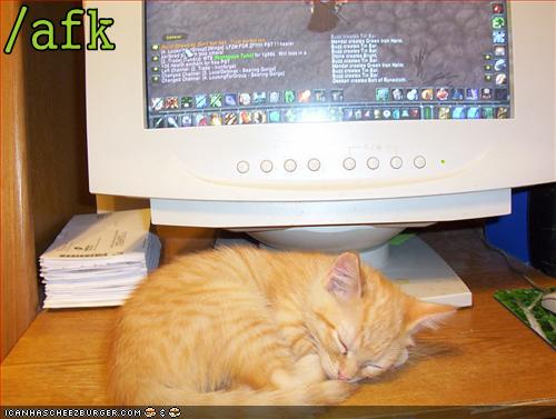 (/afk)