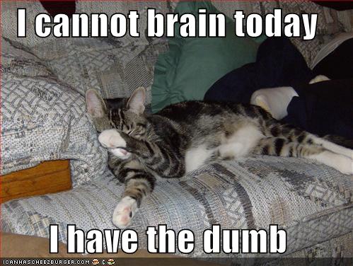 (I cannot brain today, I have the dumb.)