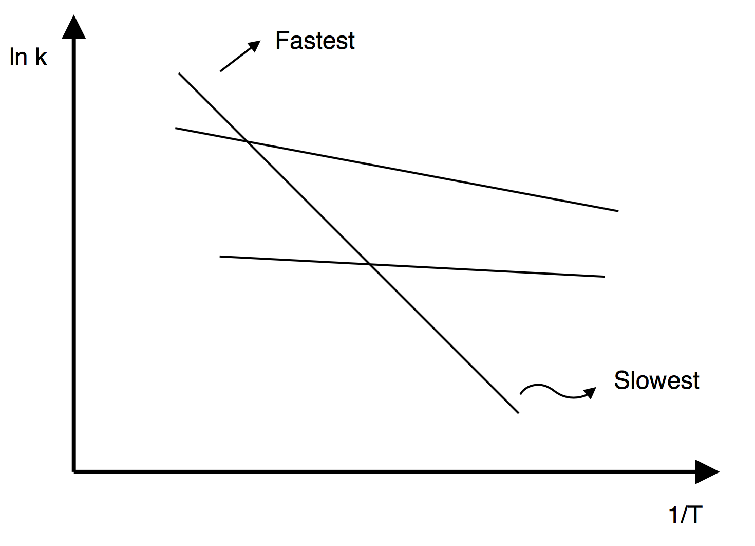 Graph of ln(k) versus 1/T showing multiple lines. The line with the steepest slope is labeled 'Fastest,' and the line with the flattest slope is labeled 'Slowest,' indicating reaction speed differences.