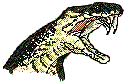 cobra