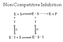 Diagram illustrating non-competitive inhibition, showing enzyme (E) binding to substrate (S) to form enzyme-substrate complex (E·S) and converting to product (P). Inhibitor (I) binds to both E and E·S, forming E·I and E·S·I complexes.