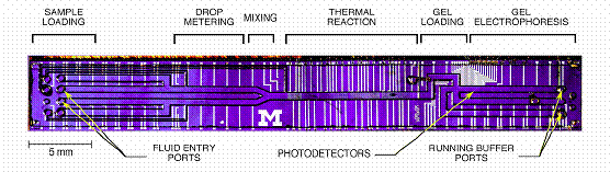 Microfluidic device schematic with labeled sections for sample loading, drop metering, mixing, thermal reaction, gel loading, and gel electrophoresis. Features include fluid entry ports, photodetectors, and running buffer ports. The scale bar indicates 5 mm.