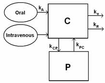Diagram of a pharmacokinetic model with compartments C and P. Inputs include oral (k_A) and intravenous administration. Arrows represent rate constants: elimination (k_e), redistribution (k_R), and exchange between compartments (k_CP, k_PC).