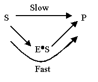 A reaction diagram showing two pathways from substrate (S) to product (P). The direct path is labeled 'Slow,' while an alternative path goes through an enzyme-substrate complex (E•S) in a lower energy state and is labeled 'Fast.'