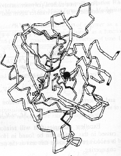 A 3D ribbon diagram of a protein structure with complex folding patterns and a marked black dot indicating a specific site.