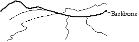 Polymer structure illustration showing a labeled 'Backbone' with a thickened central chain and irregular branching side chains.