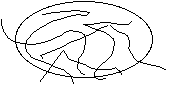 Schematic representation of an entangled polymer network within an oval boundary, depicting a complex arrangement of polymer chains.
