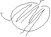 Diagram of a polymer system with oriented chains inside an oval boundary, indicating ordered polymer alignment.