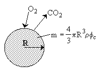 Diagram of a spherical particle of radius R undergoing combustion. Arrows show O₂ entering and CO₂ leaving the surface. The particle’s mass is given by m = (4/3)πR³ρϕc, where ρ is density and ϕc is a conversion factor.