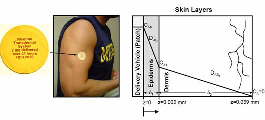 Image showing a nicotine transdermal patch on a person's upper arm, labeled 'Nicotine Transdermal System, 7 mg delivered over 24 hours, NCH 0830.' To the right, a diagram of skin layers shows diffusion through the delivery patch, epidermis, and dermis. Concentration profiles are shown with sharp drops from CAp to CA1 to CA = 0. The epidermis spans from z=0 to z=0.002 mm and the dermis from z=0.002 mm to z=0.039 mm. Diffusion coefficients D_AB1 and D_AB2 are labeled in each layer.