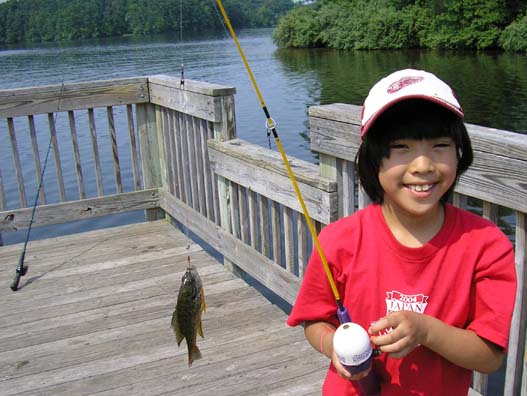 Bluegill��ނ�����