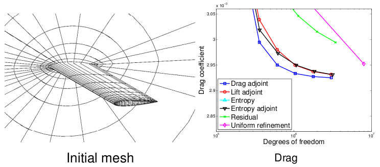 Entropy adjoint wing case