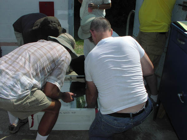 IMG_4752_P8290597