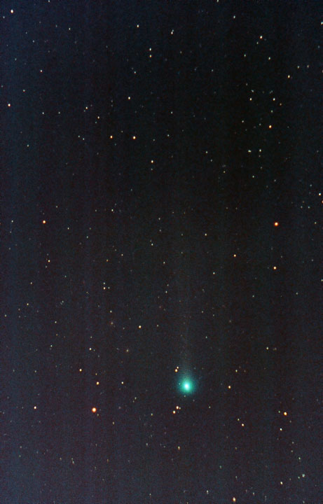 Comet C/2002 V1 Neat