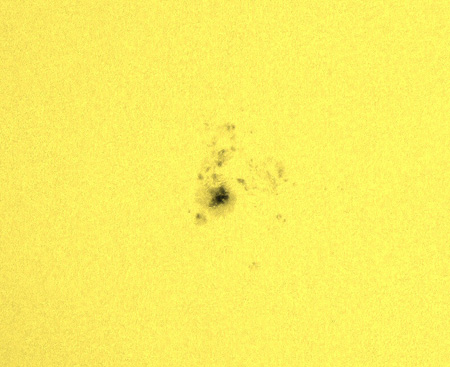 Sunspot Group on August 2, 2005