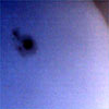 Sunspot Group on May 4, 2005