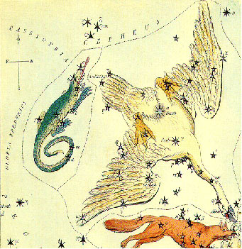 The constellation Cygnus