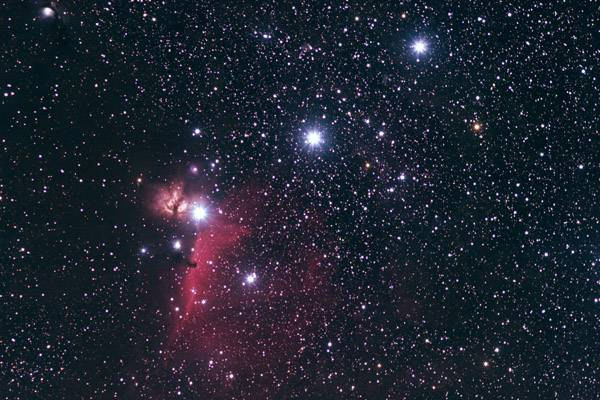 Orion's Belt and Horsehead