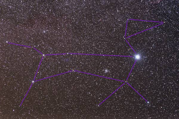 Canis Major and Puppis