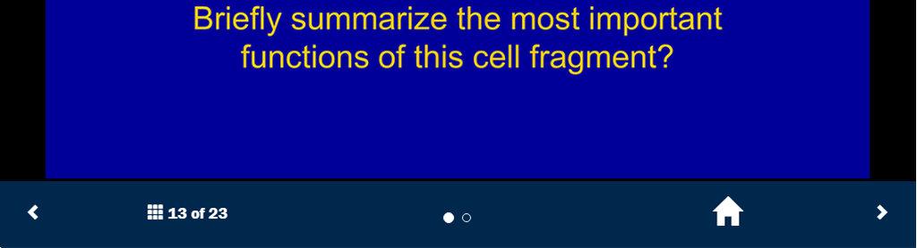 Responsive image