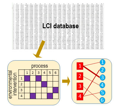 LCI Network