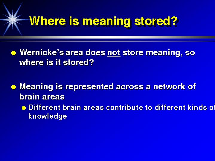 Where is meaning stored?